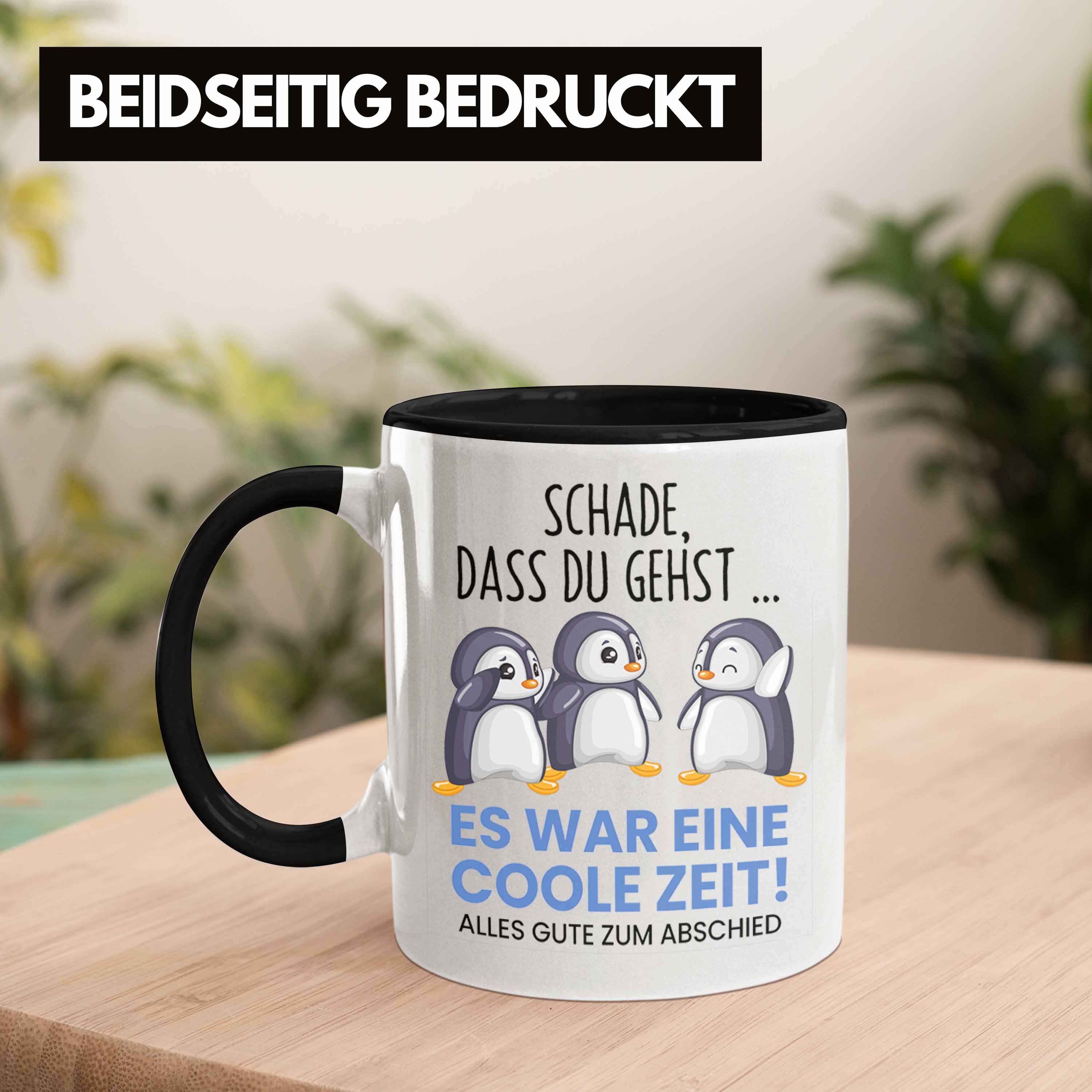 Bild 6 von 49
