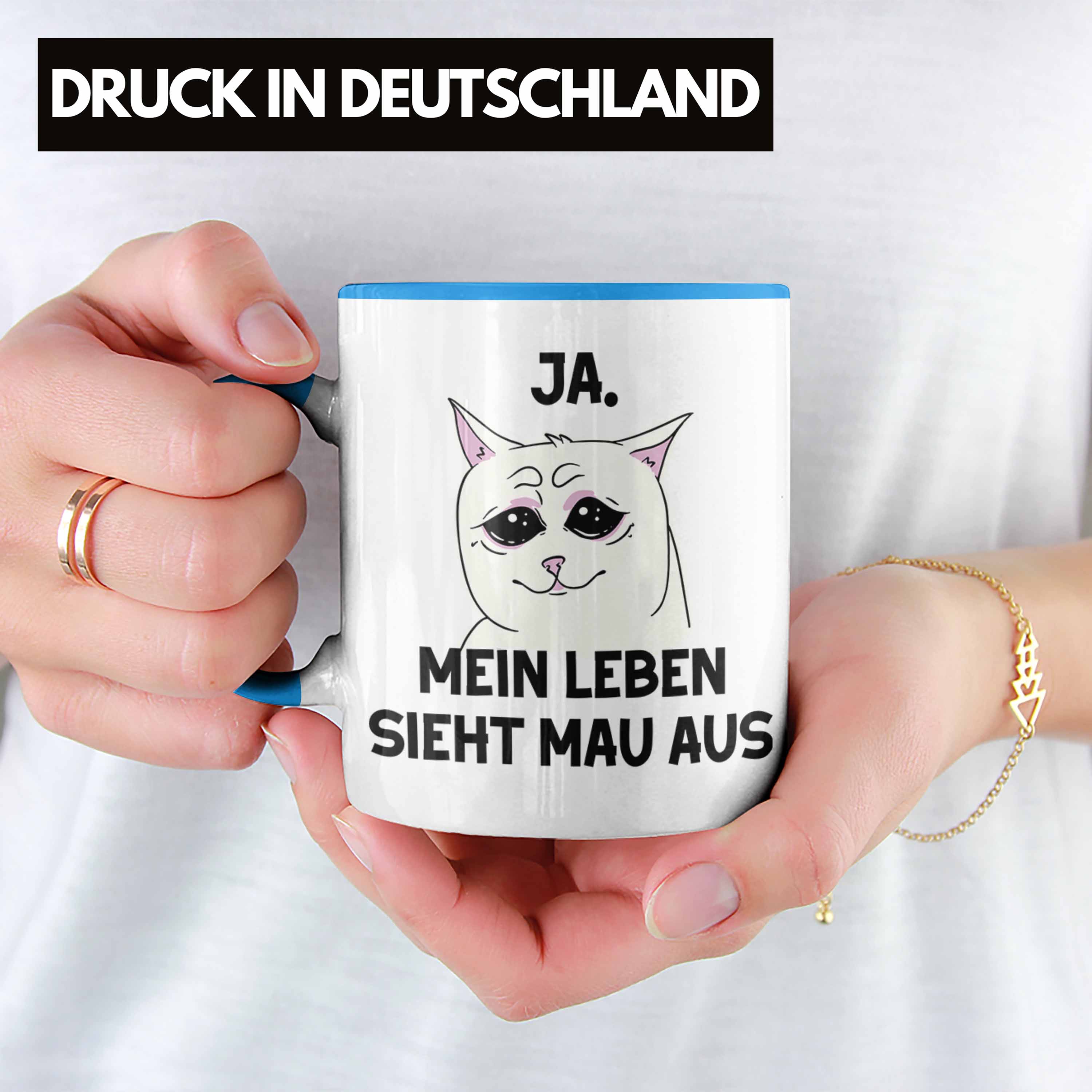 Bild 11 von 49
