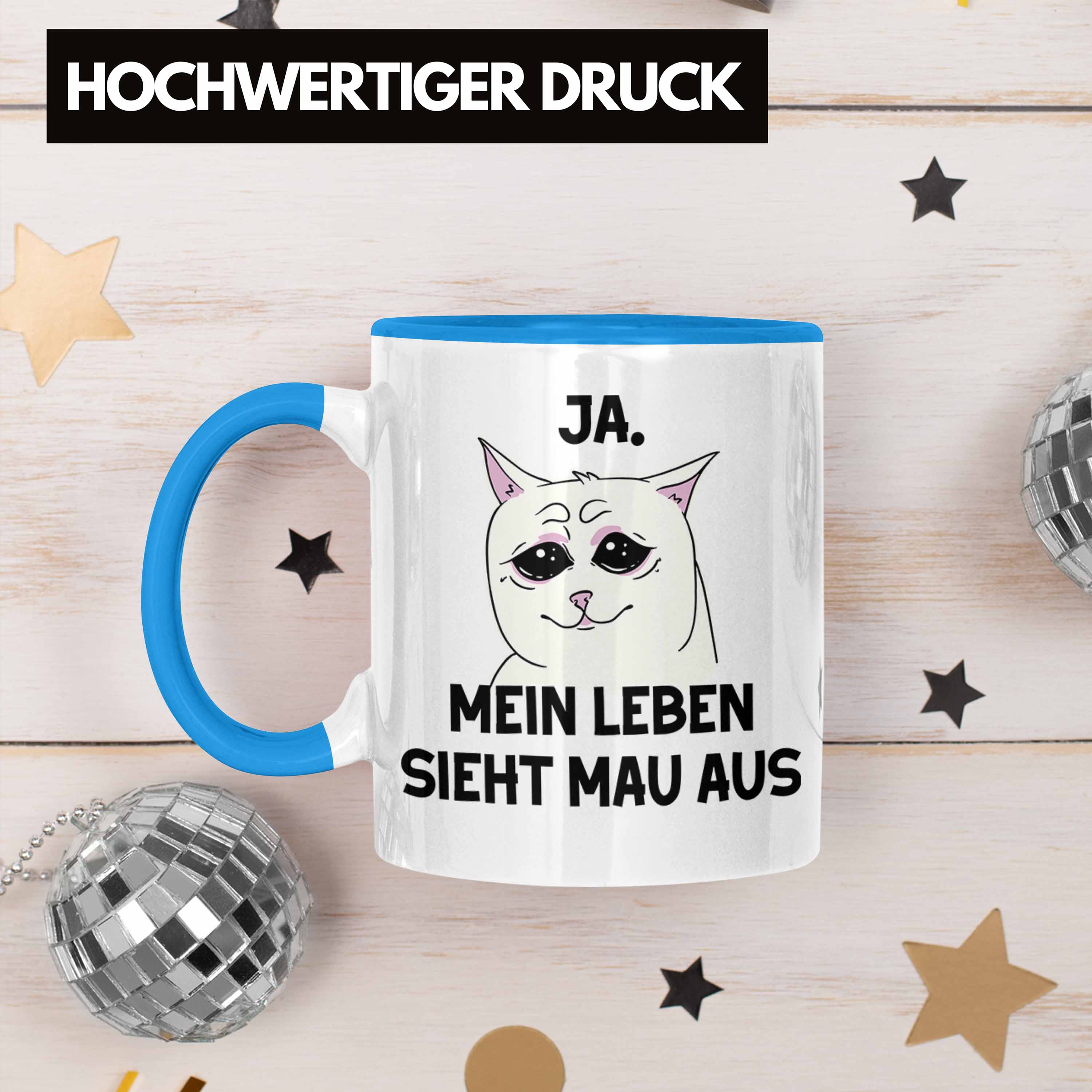 Bild 12 von 49