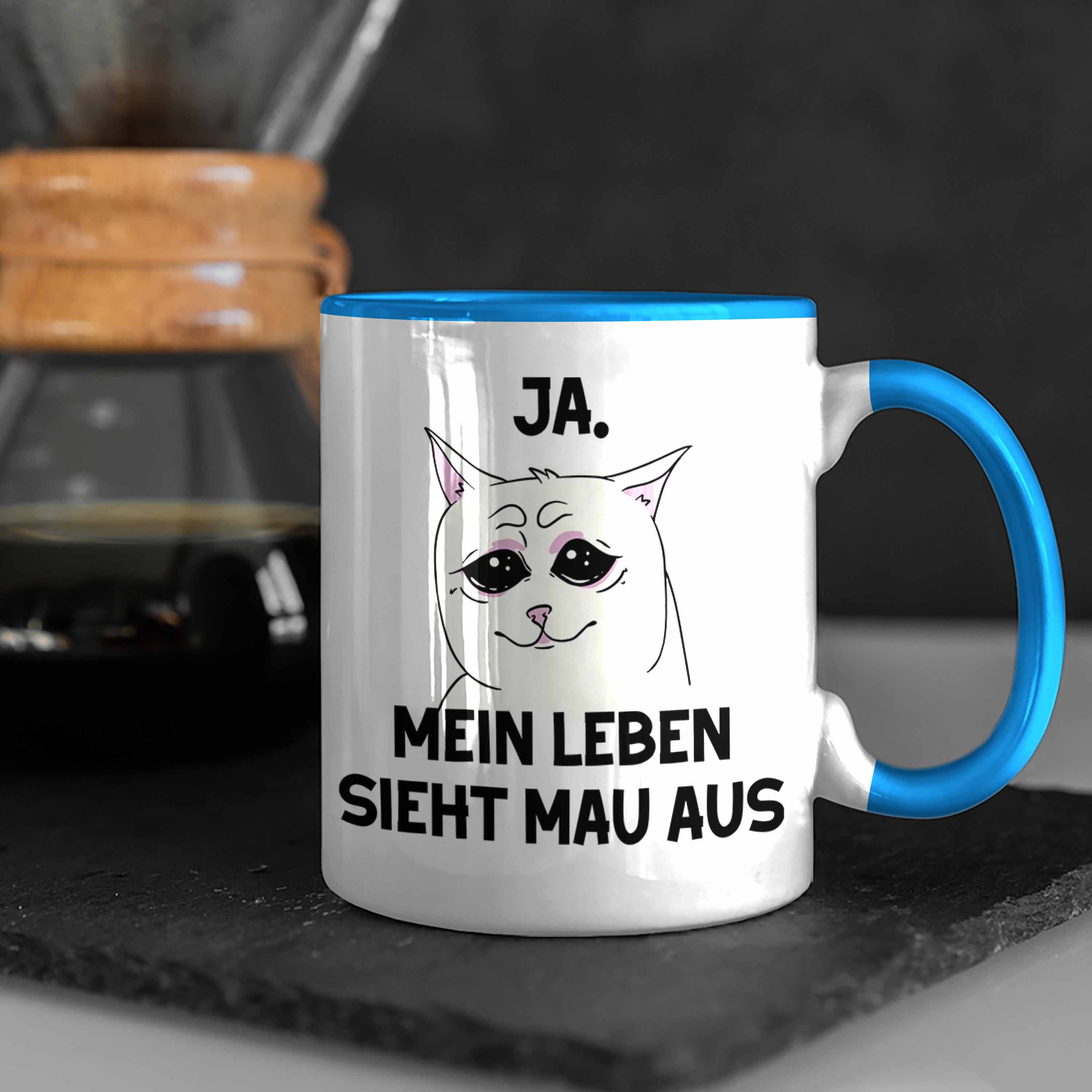Bild 15 von 49