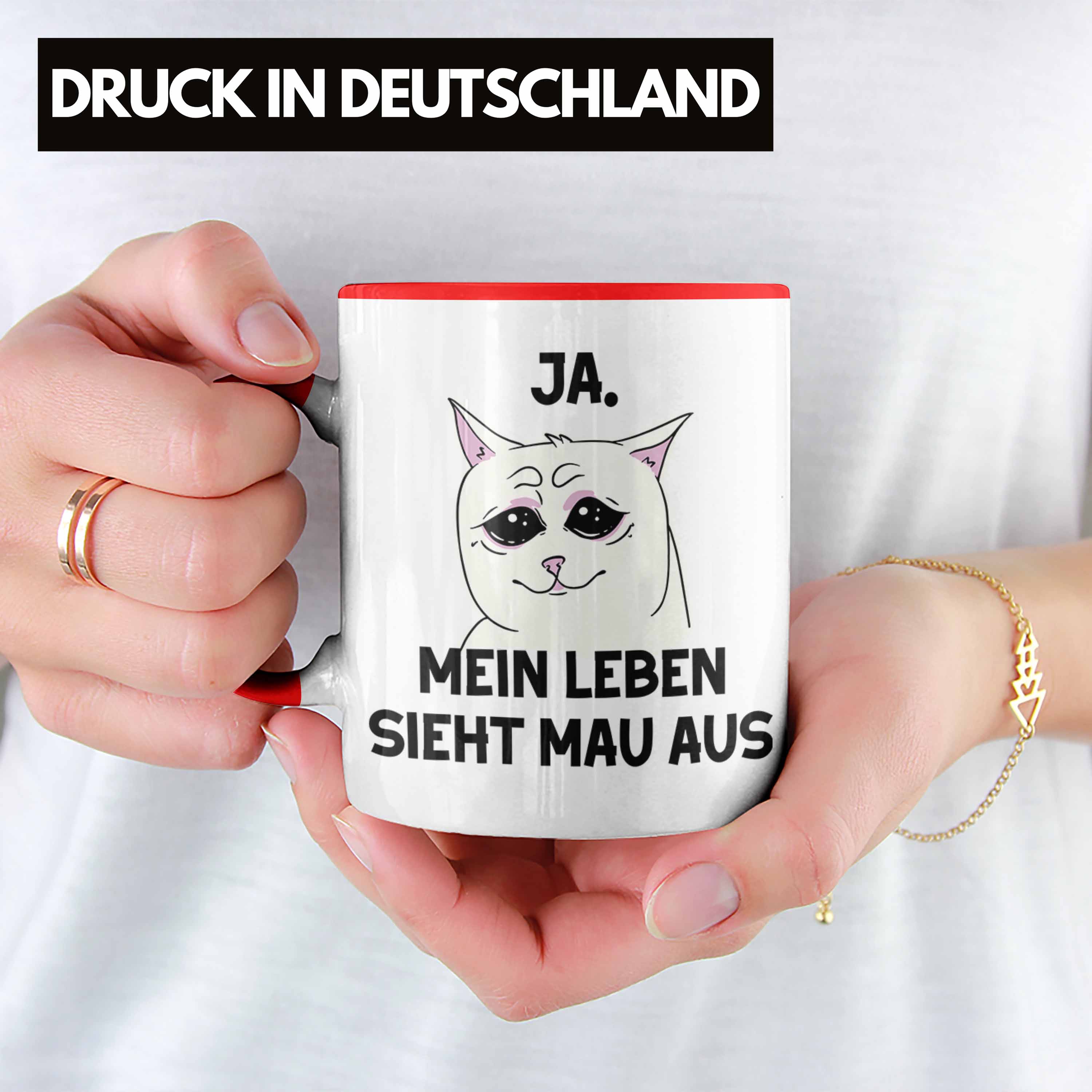 Bild 19 von 49