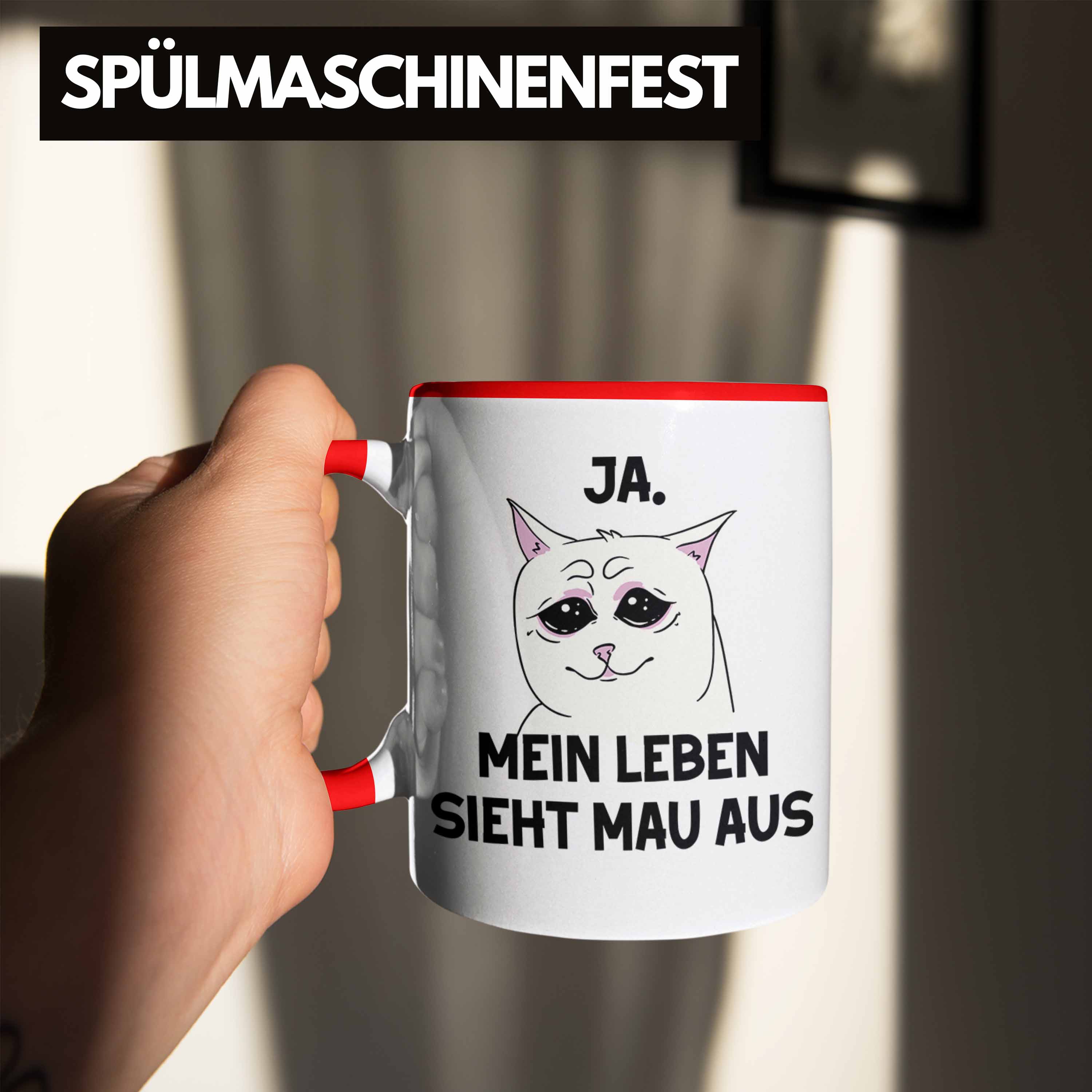 Bild 21 von 49