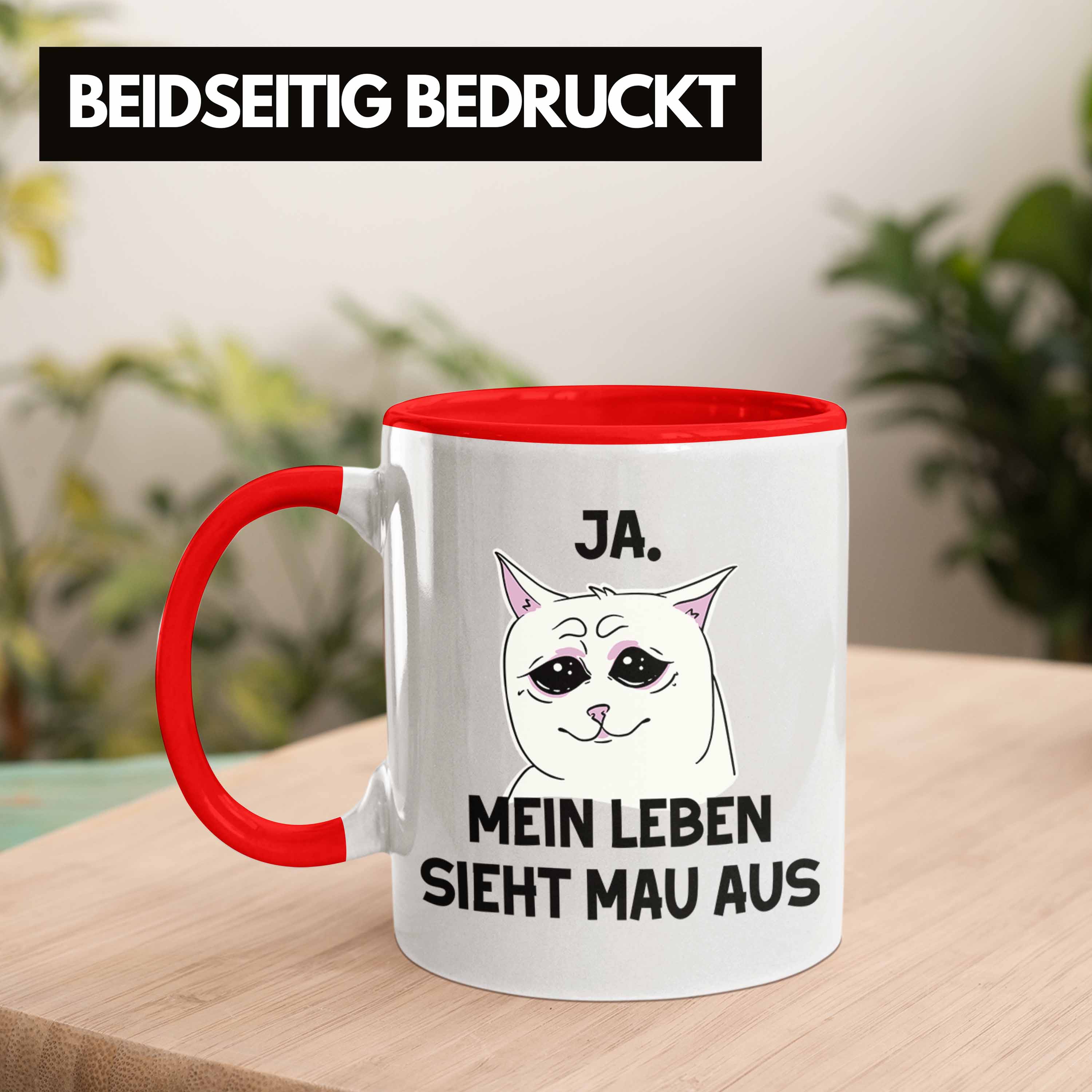 Bild 22 von 49