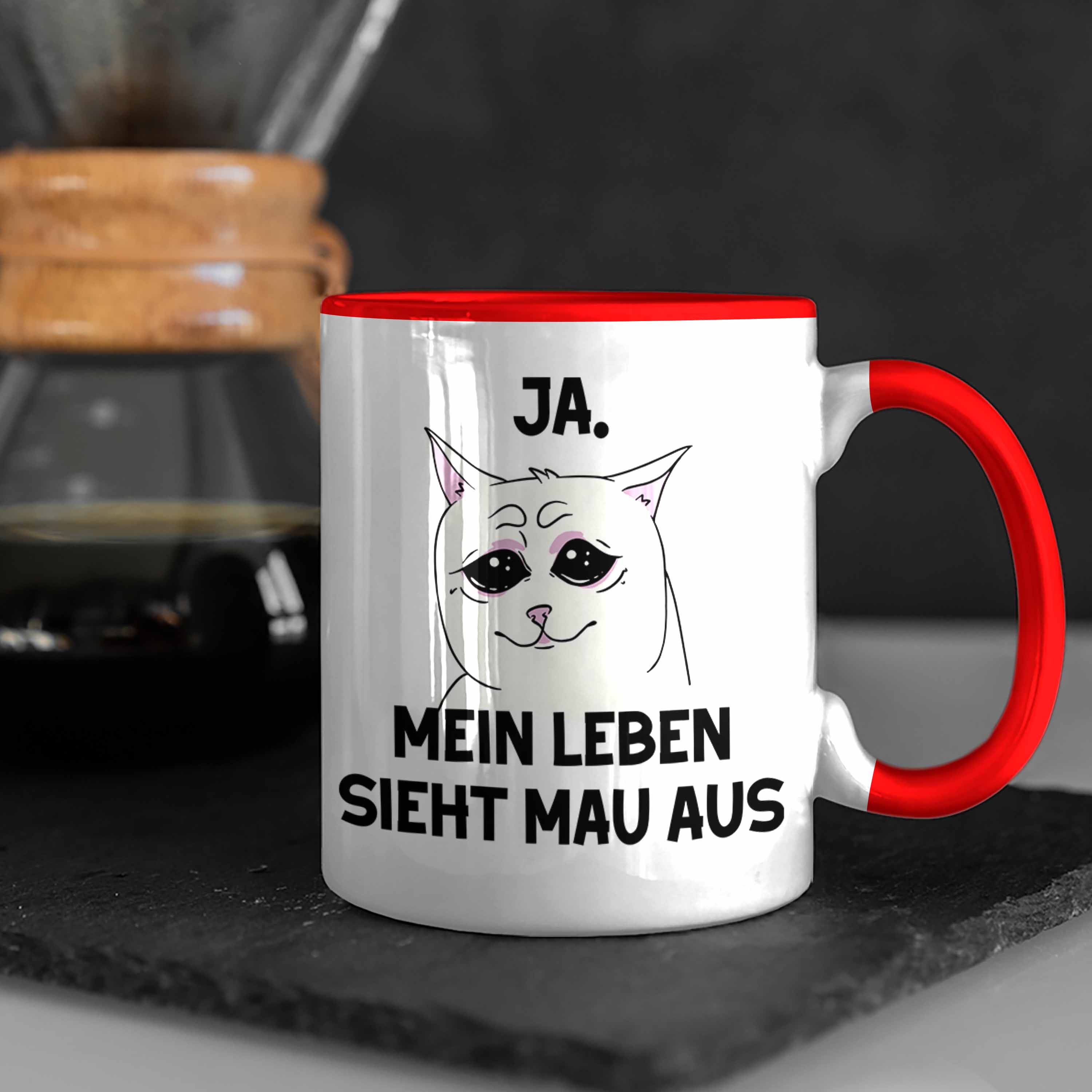 Bild 24 von 49