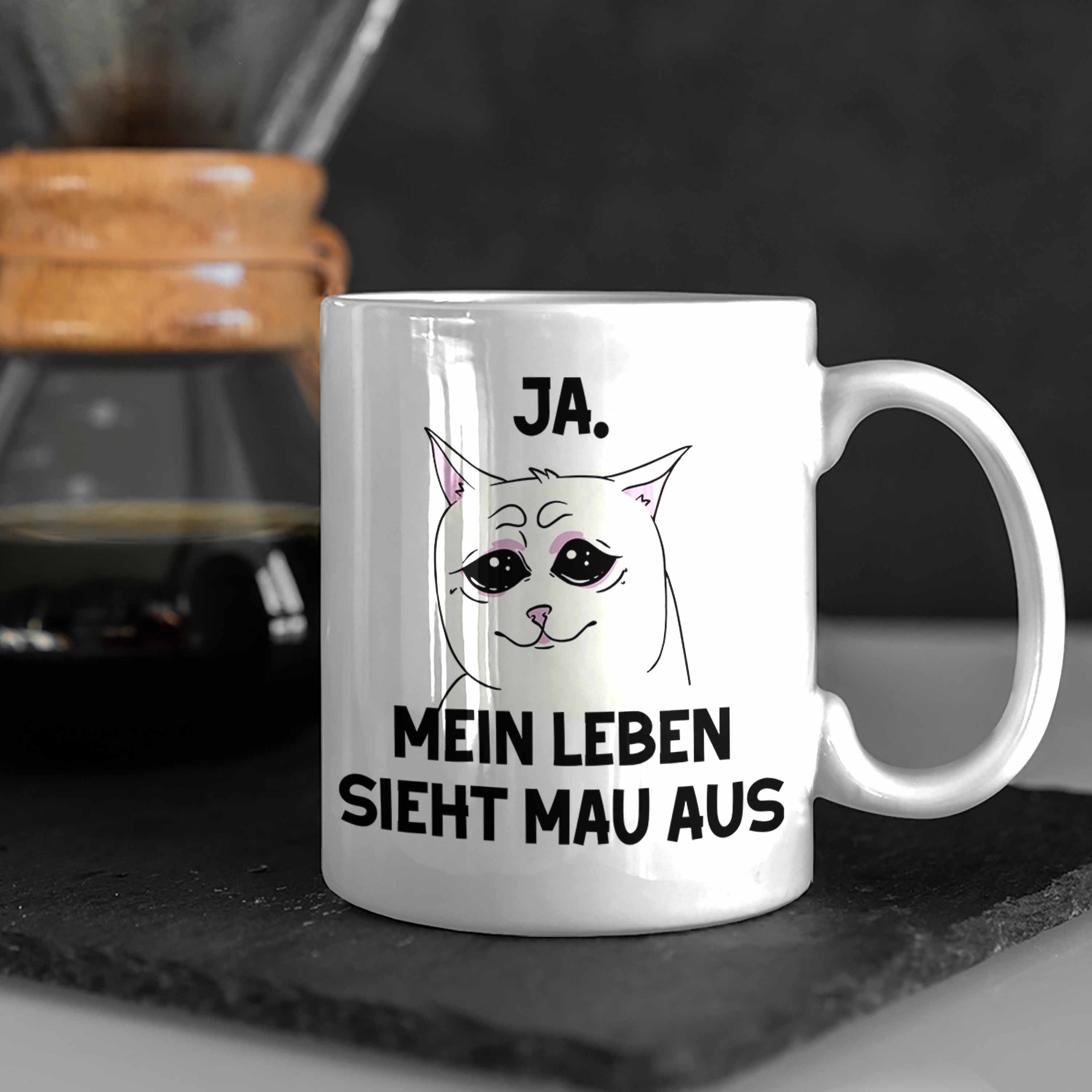 Bild 47 von 49