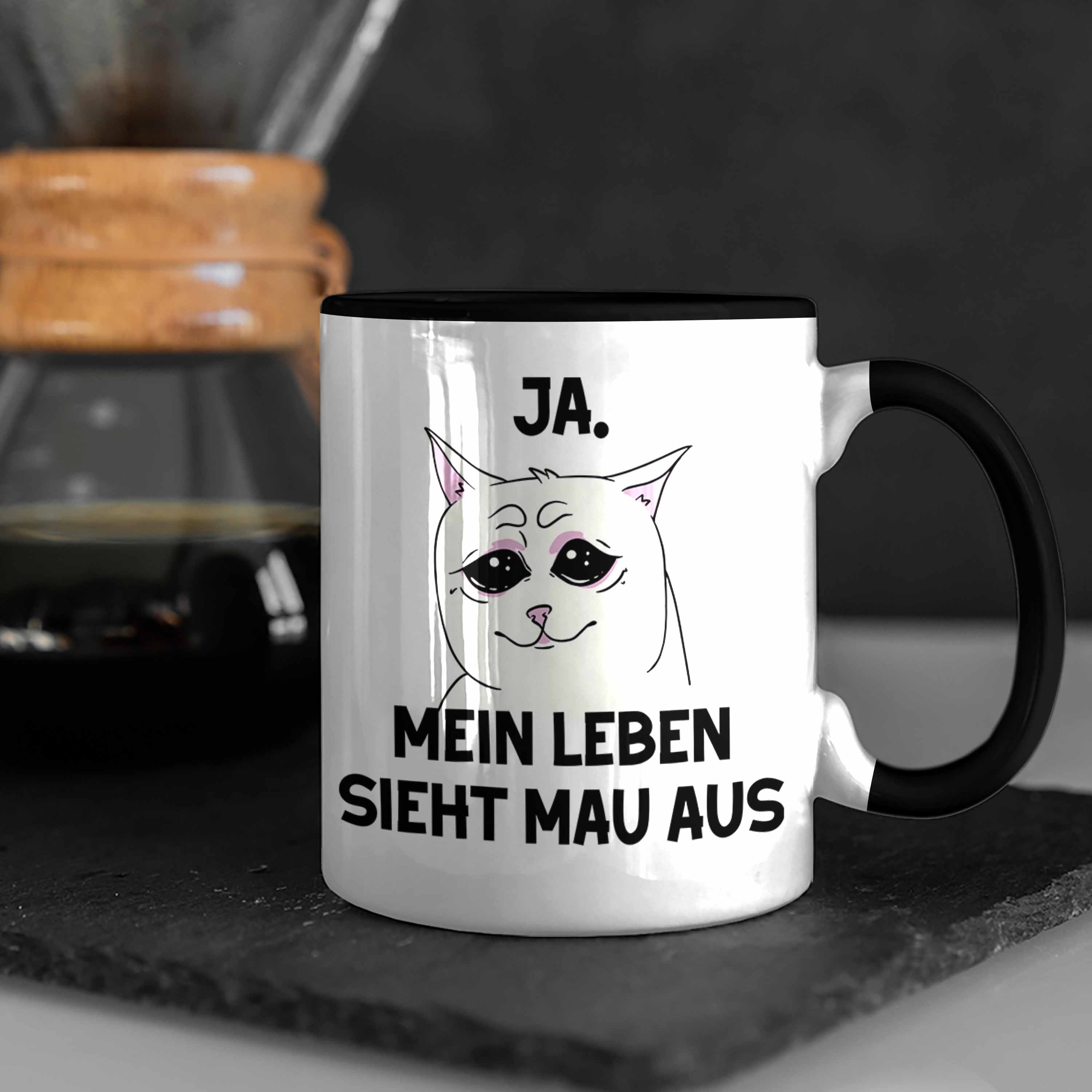 Bild 8 von 49