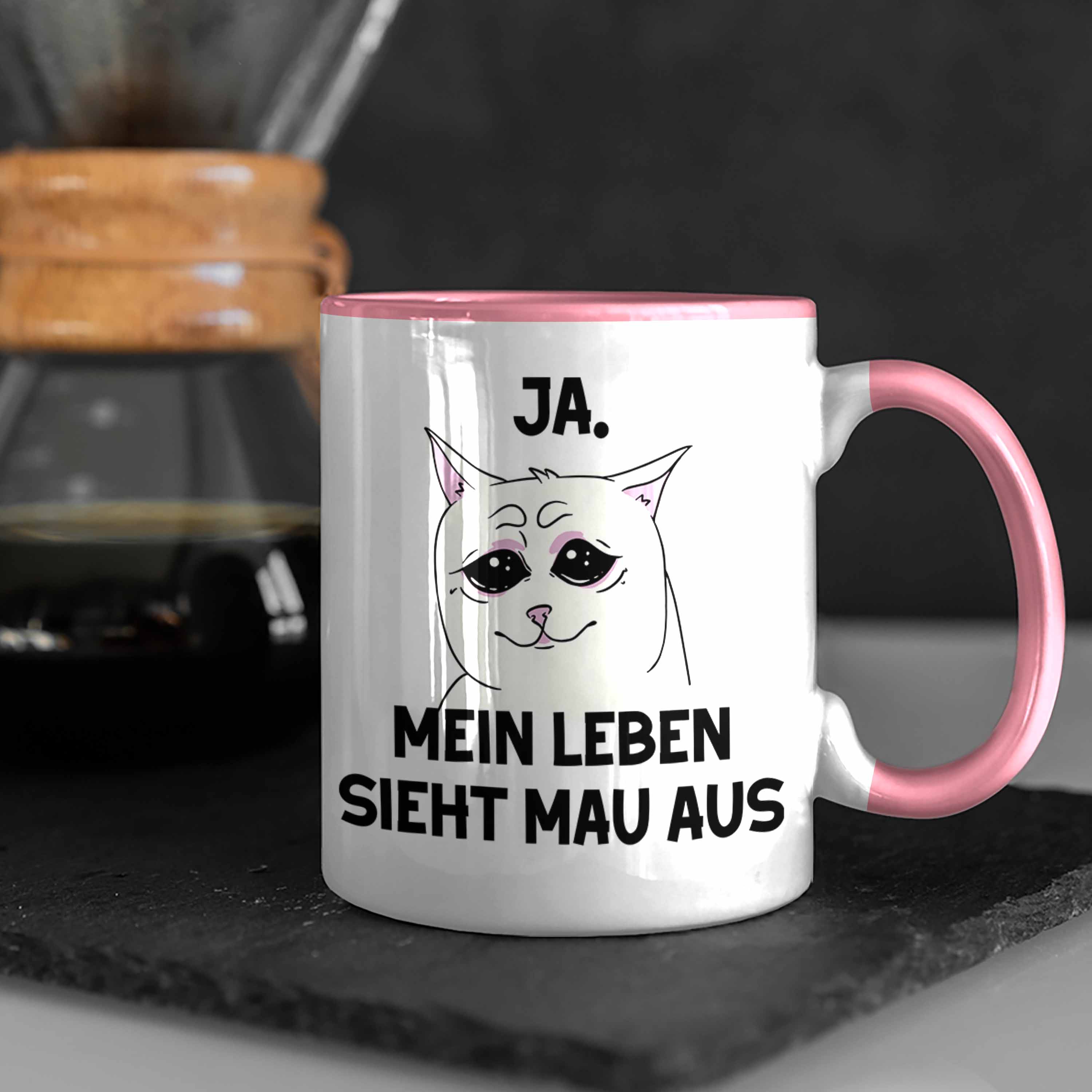 Bild 31 von 49